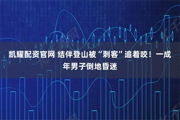 凯耀配资官网 结伴登山被“刺客”追着咬！一成年男子倒地昏迷