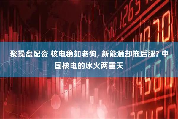 聚操盘配资 核电稳如老狗, 新能源却拖后腿? 中国核电的冰火两重天