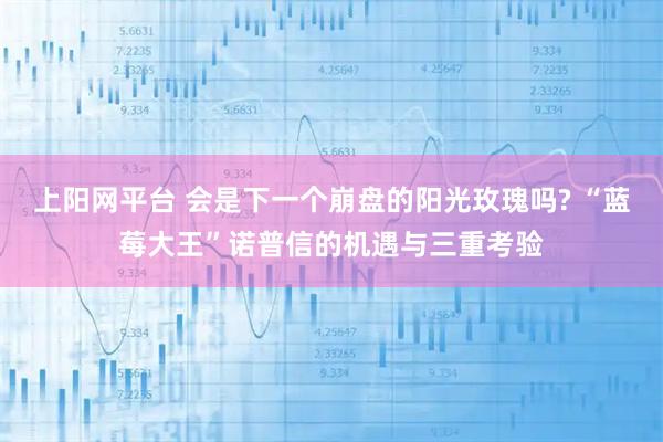 上阳网平台 会是下一个崩盘的阳光玫瑰吗? “蓝莓大王”诺普信的机遇与三重考验
