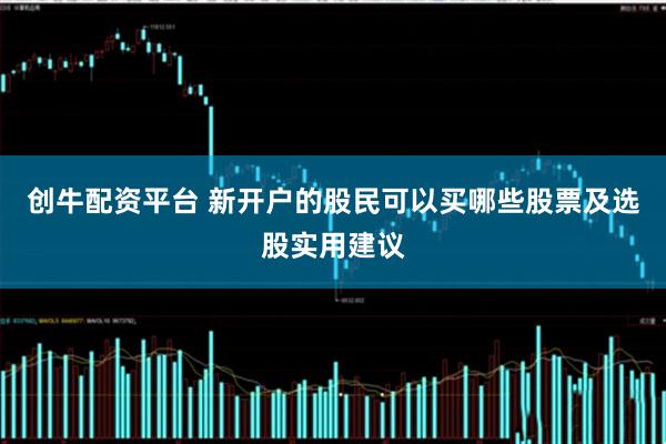 创牛配资平台 新开户的股民可以买哪些股票及选股实用建议